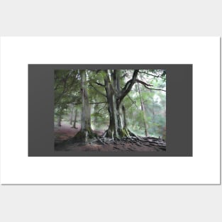 Back Forest Staffordshire. Peak District. Countryside Hiker landscape Posters and Art